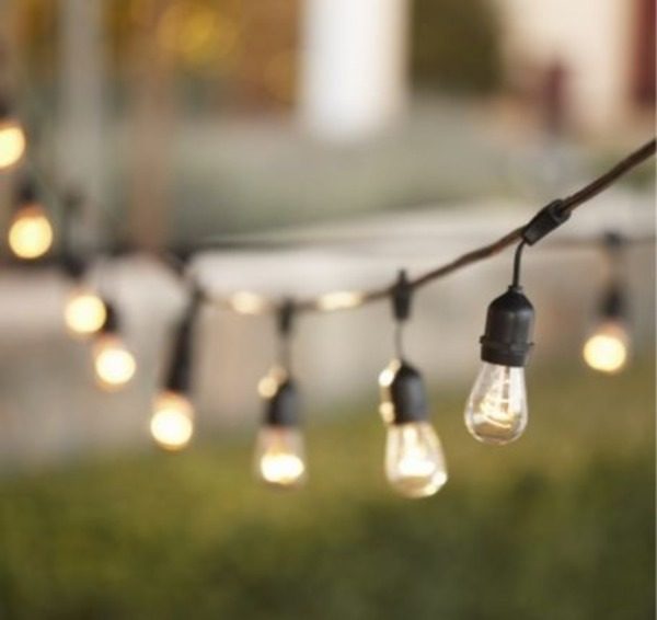 Edison Bulbs